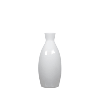Sake Bottle