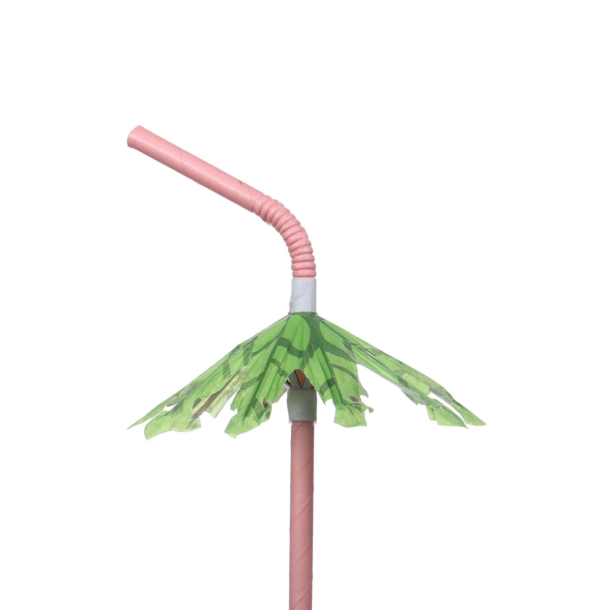 Palm Tree Straw (Paper Straw) – Dynasty Wholesale