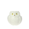 Owl Mug
