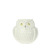 Owl Mug